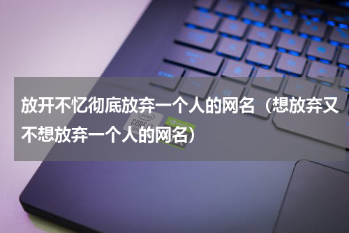 放开不忆彻底放弃一个人的网名（想放弃又不想放弃一个人的网名）
