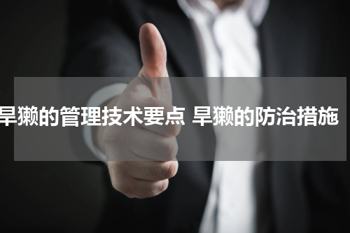 旱獭的管理技术要点 旱獭的防治措施