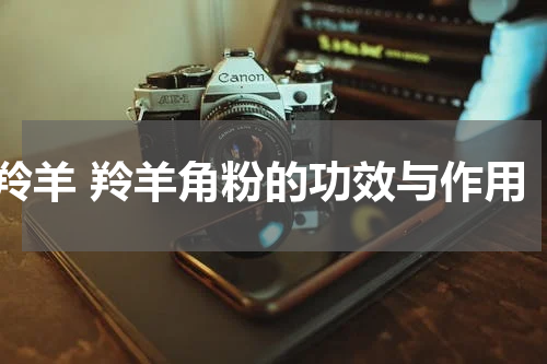羚羊 羚羊角粉的功效与作用
