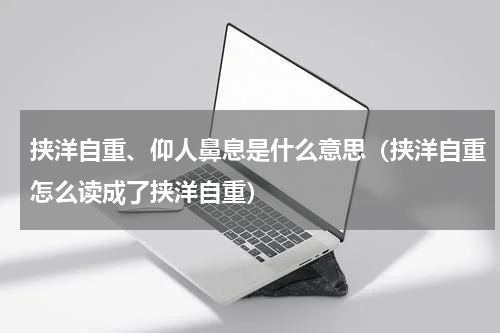 挟洋自重、仰人鼻息是什么意思（挟洋自重怎么读成了挟洋自重）