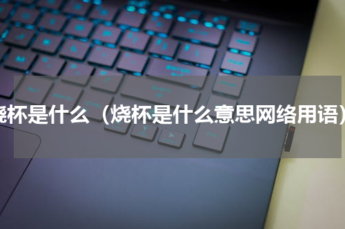 烧杯是什么（烧杯是什么意思网络用语）