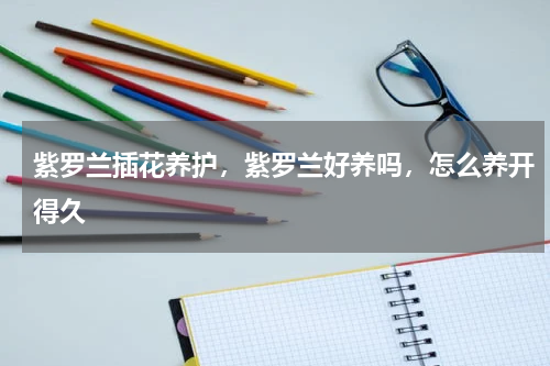紫罗兰插花养护，紫罗兰好养吗，怎么养开得久