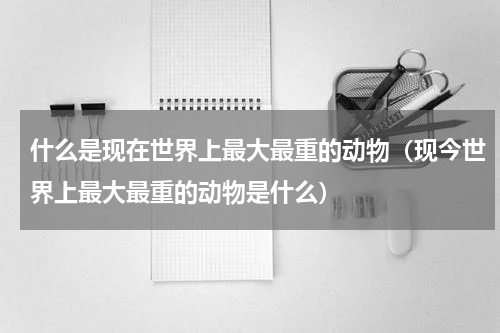 什么是现在世界上最大最重的动物（现今世界上最大最重的动物是什么）