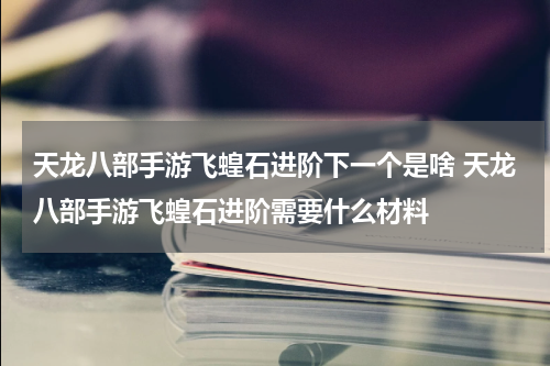 天龙八部手游飞蝗石进阶下一个是啥 天龙八部手游飞蝗石进阶需要什么材料