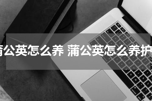 蒲公英怎么养 蒲公英怎么养护