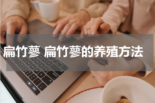 扁竹蓼 扁竹蓼的养殖方法