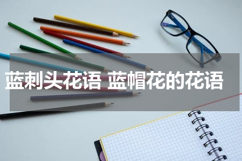蓝刺头花语 蓝帽花的花语