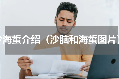 沙海蜇介绍（沙脑和海蜇图片）