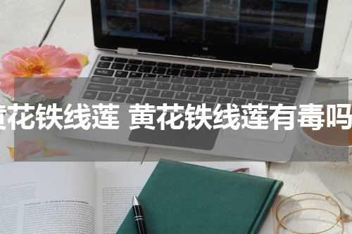 黄花铁线莲 黄花铁线莲有毒吗