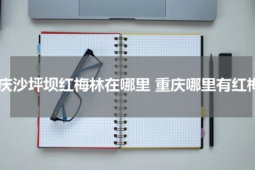 重庆沙坪坝红梅林在哪里 重庆哪里有红梅
