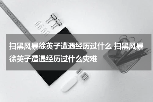 扫黑风暴徐英子遭遇经历过什么 扫黑风暴徐英子遭遇经历过什么灾难