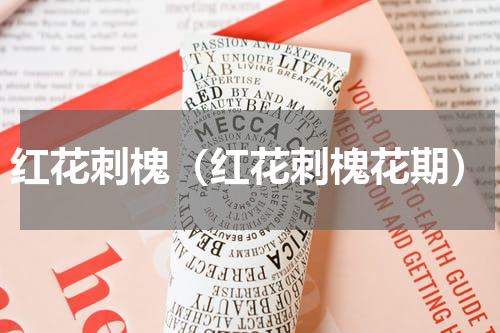 红花刺槐（红花刺槐花期）