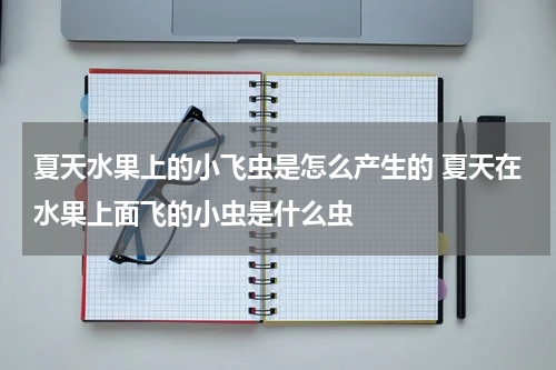夏天水果上的小飞虫是怎么产生的 夏天在水果上面飞的小虫是什么虫