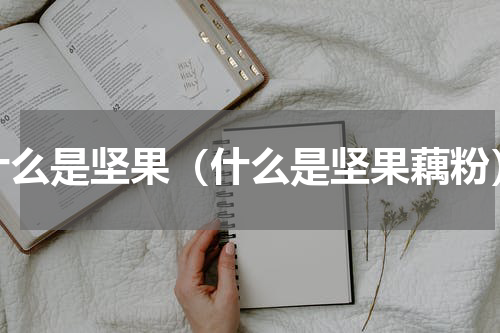 什么是坚果（什么是坚果藕粉）