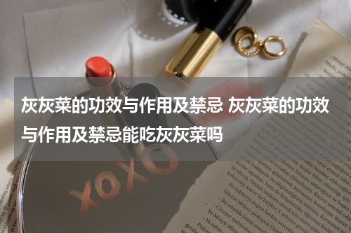 灰灰菜的功效与作用及禁忌 灰灰菜的功效与作用及禁忌能吃灰灰菜吗