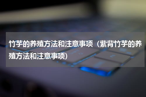 竹芋的养殖方法和注意事项（紫背竹芋的养殖方法和注意事项）