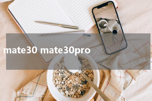 mate30 mate30pro