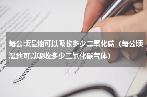 每公顷湿地可以吸收多少二氧化碳（每公顷湿地可以吸收多少二氧化碳气体）