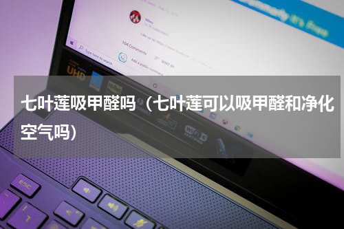 七叶莲吸甲醛吗（七叶莲可以吸甲醛和净化空气吗）