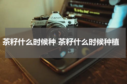 茶籽什么时候种 茶籽什么时候种植