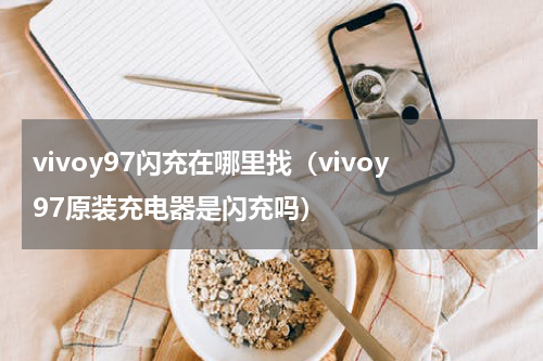 vivoy97闪充在哪里找（vivoy97原装充电器是闪充吗）