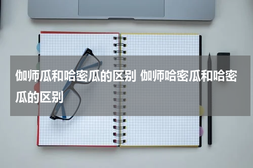 伽师瓜和哈密瓜的区别 伽师哈密瓜和哈密瓜的区别