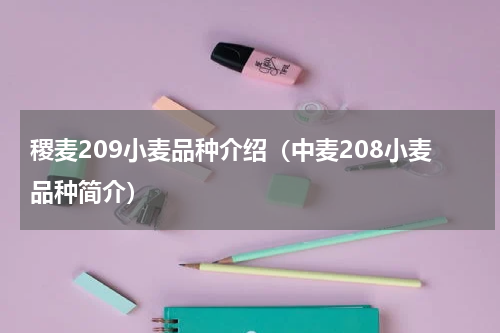 稷麦209小麦品种介绍（中麦208小麦品种简介）