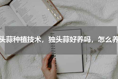 独头蒜种植技术，独头蒜好养吗，怎么养殖