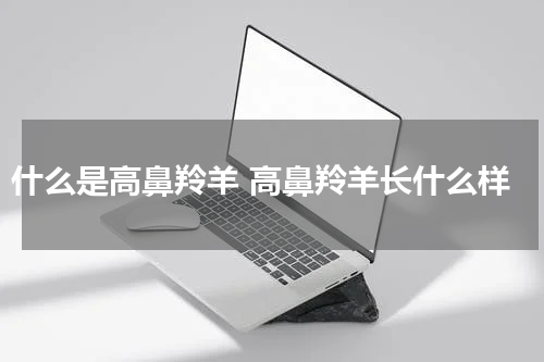 什么是高鼻羚羊 高鼻羚羊长什么样