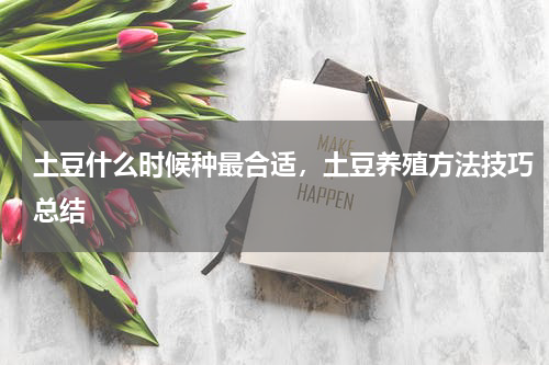土豆什么时候种最合适，土豆养殖方法技巧总结