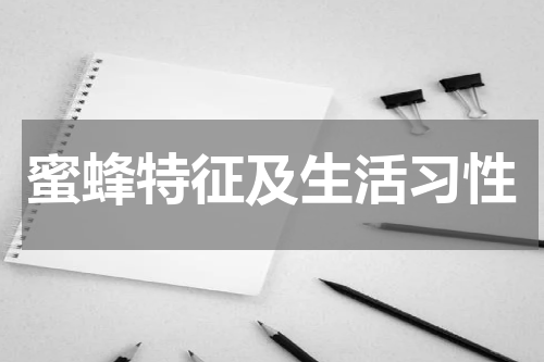 蜜蜂特征及生活习性