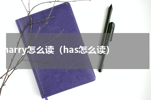 harry怎么读（has怎么读）