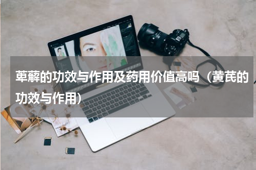 萆薢的功效与作用及药用价值高吗（黄芪的功效与作用）