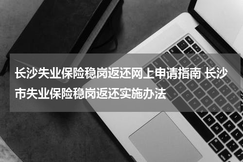 长沙失业保险稳岗返还网上申请指南 长沙市失业保险稳岗返还实施办法