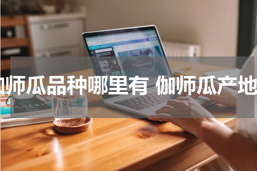 伽师瓜品种哪里有 伽师瓜产地