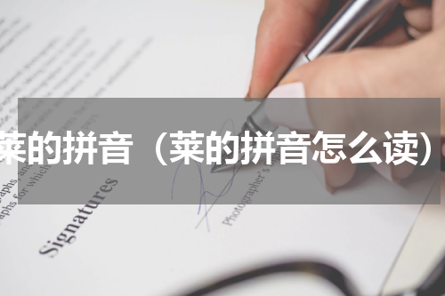 莱的拼音（莱的拼音怎么读）