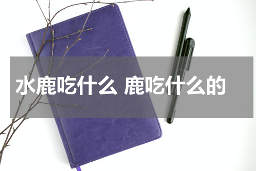 水鹿吃什么 鹿吃什么的