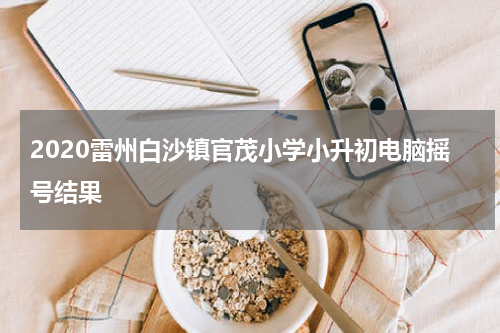 2020雷州白沙镇官茂小学小升初电脑摇号结果