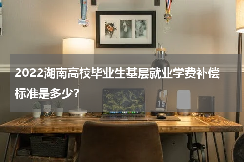 2022湖南高校毕业生基层就业学费补偿标准是多少？