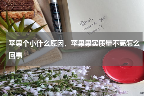 苹果个小什么原因，苹果果实质量不高怎么回事