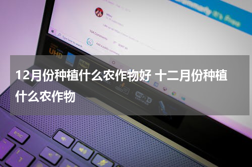 12月份种植什么农作物好 十二月份种植什么农作物