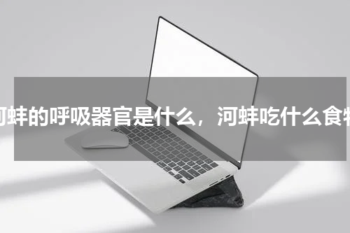 河蚌的呼吸器官是什么，河蚌吃什么食物