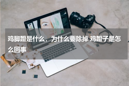 鸡脚蹬是什么，为什么要除掉 鸡蹬子是怎么回事