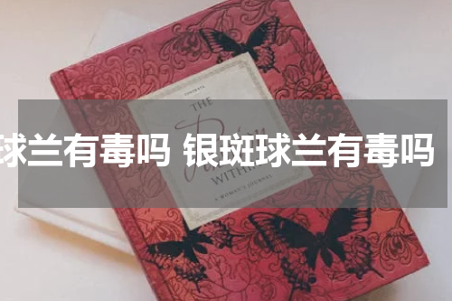 球兰有毒吗 银斑球兰有毒吗