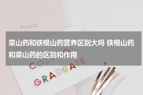 菜山药和铁棍山药营养区别大吗 铁棍山药和菜山药的区别和作用