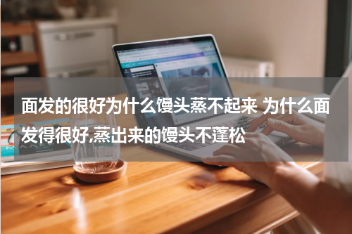 面发的很好为什么馒头蒸不起来 为什么面发得很好,蒸出来的馒头不蓬松