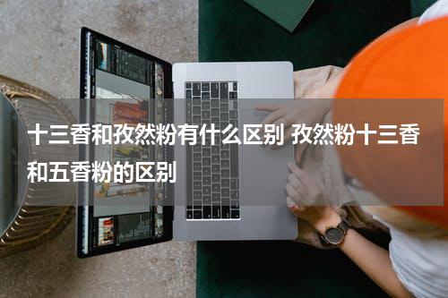 十三香和孜然粉有什么区别 孜然粉十三香和五香粉的区别