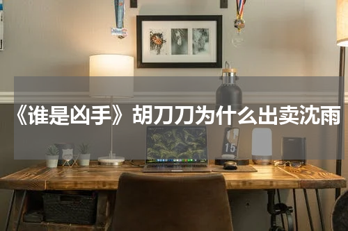 《谁是凶手》胡刀刀为什么出卖沈雨