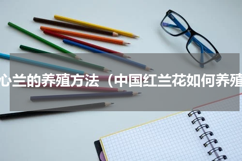 红心兰的养殖方法（中国红兰花如何养殖）