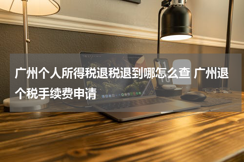 广州个人所得税退税退到哪怎么查 广州退个税手续费申请
